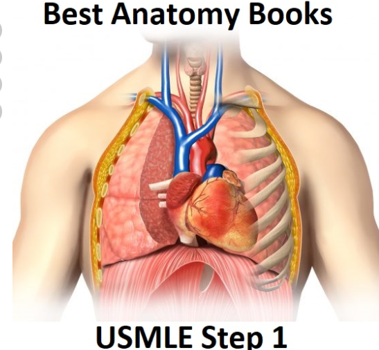 USMLE考试step1——解剖学书籍大赏！_考试分享_考试资讯_USMLE_医疗类_威 